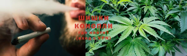 гидра Белоозёрский