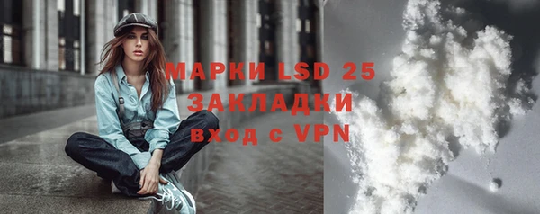 прущие грибы Беломорск