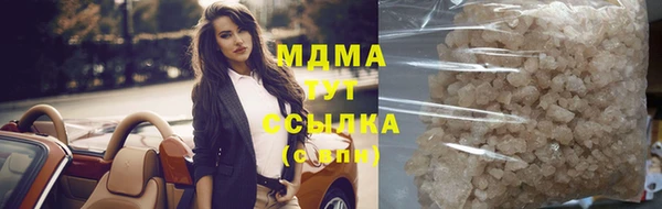 прущие грибы Беломорск