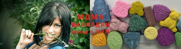 spice Богородицк