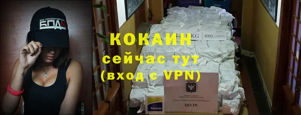 прущие грибы Беломорск