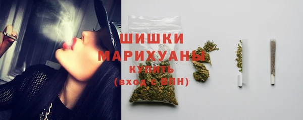прущие грибы Беломорск
