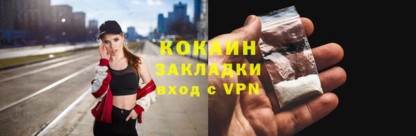 прущие грибы Беломорск