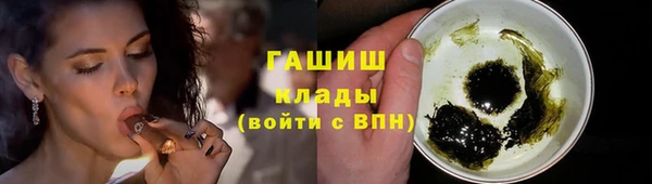 spice Богородицк