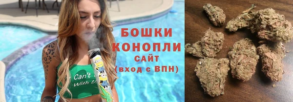 гидра Белоозёрский
