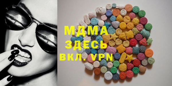 spice Богородицк