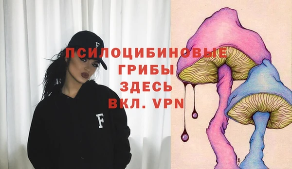 гидра Белоозёрский