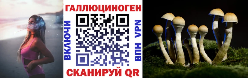 Галлюциногенные грибы Psilocybine cubensis  Янаул 